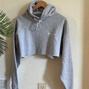 Champion Hoodie 🩶